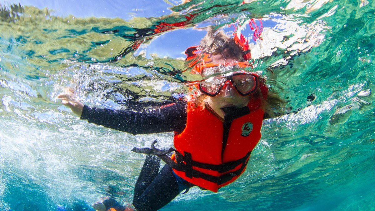 Snorkeller in a life vest floating in the clear turquoise shallows on a Cabo Pulmo Beach Resort snorkel tour